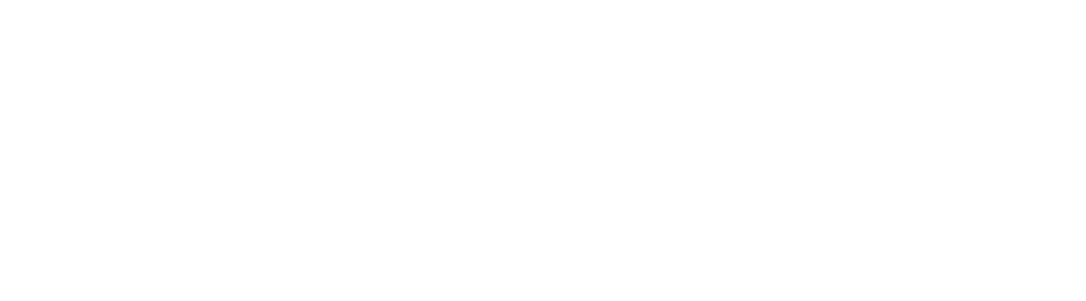 Logo Fynnk